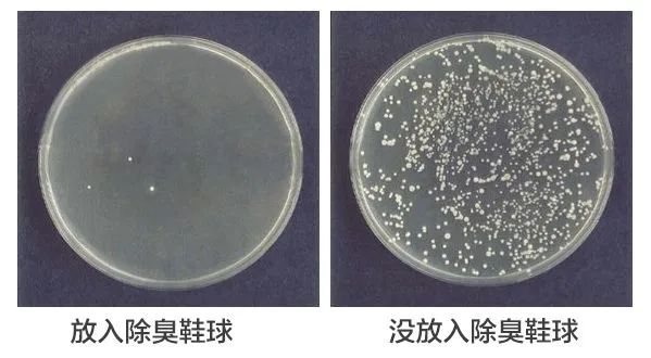 放上这颗球，再也不用担心进屋不敢脱鞋了