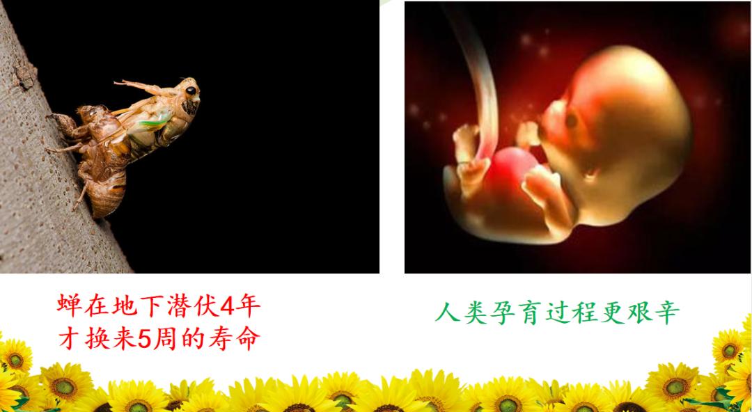 6大主题20个战疫优秀班会案例自由*载下**，让学生爱上你的课