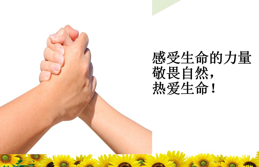 6大主题20个战疫优秀班会案例自由*载下**，让学生爱上你的课