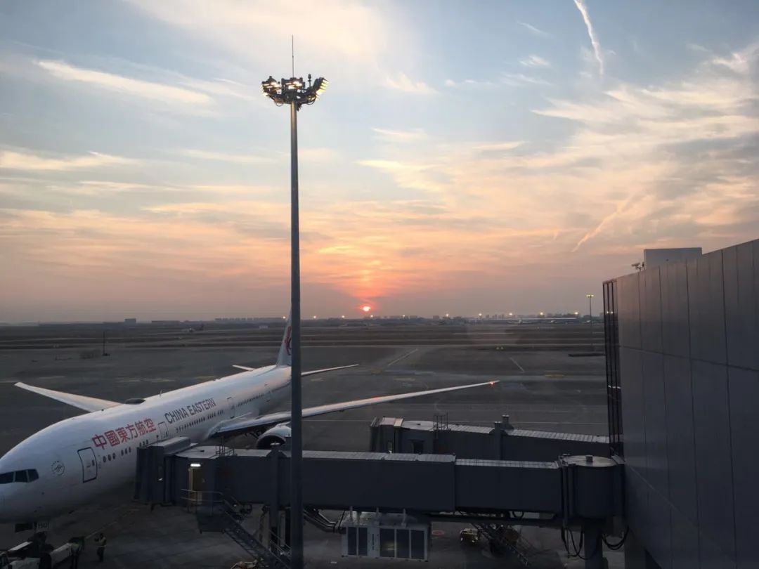 日本“佛系封城”是种怎样的体验？留日夫妻讲述：未完全限制出行，全靠民众自觉｜海外华人抗疫故事