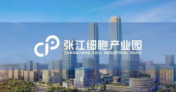 小儿贫血诊治的病例讨论,关于小儿贫血诊断标准