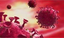 全球因新冠肺炎死亡的名人,感染新冠去世的10位明星