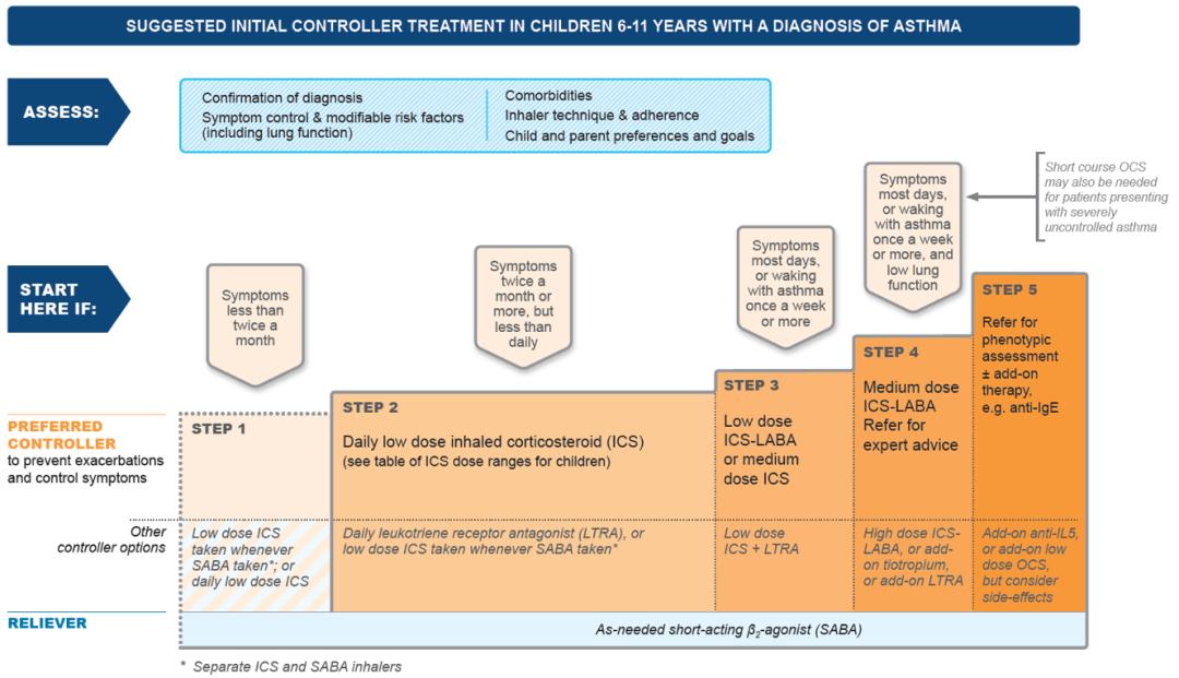 gina哮喘指南解读,gina哮喘指南什么时候建立的