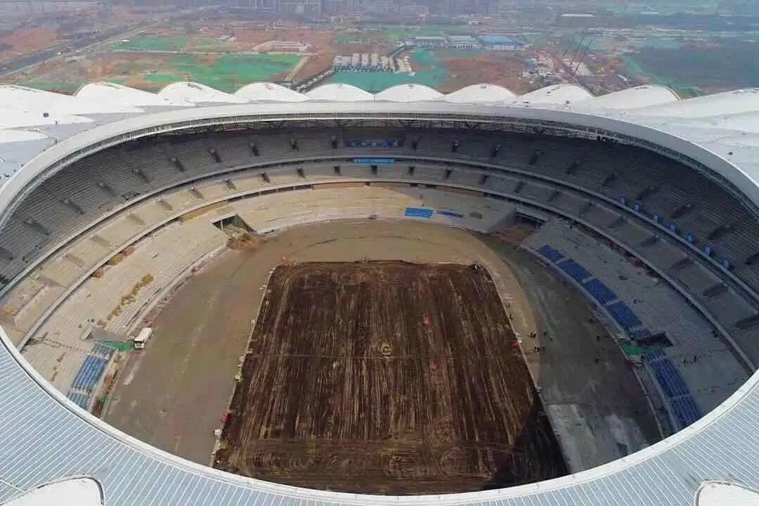 奥体热搜Top8，安安一次全回答～