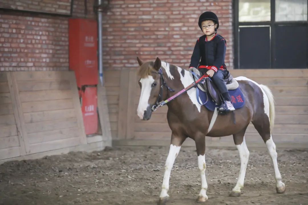 儿童中心实验幼儿园招生简章,东城实验幼儿园招生简章