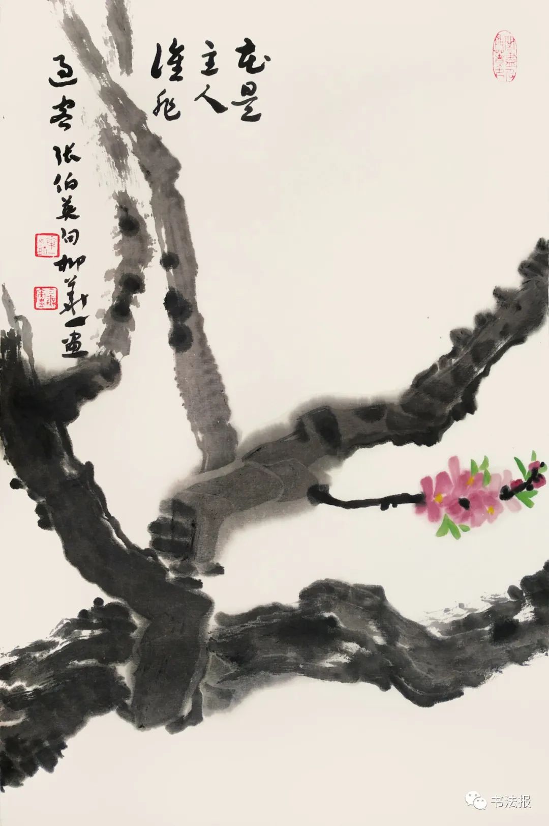 笔墨迎春花，57位画者为桃花“造像”