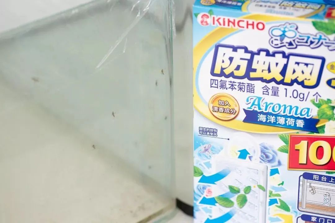 被疯抢的隐形蚊帐，随手一挂，蚊子全无