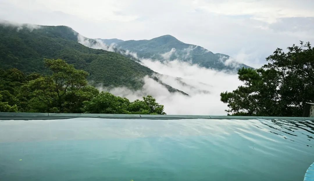 茶香禅韵入梦完整视频,世外桃源神仙度假地