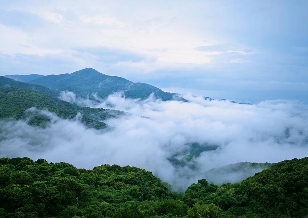 茶香禅韵入梦完整视频,世外桃源神仙度假地