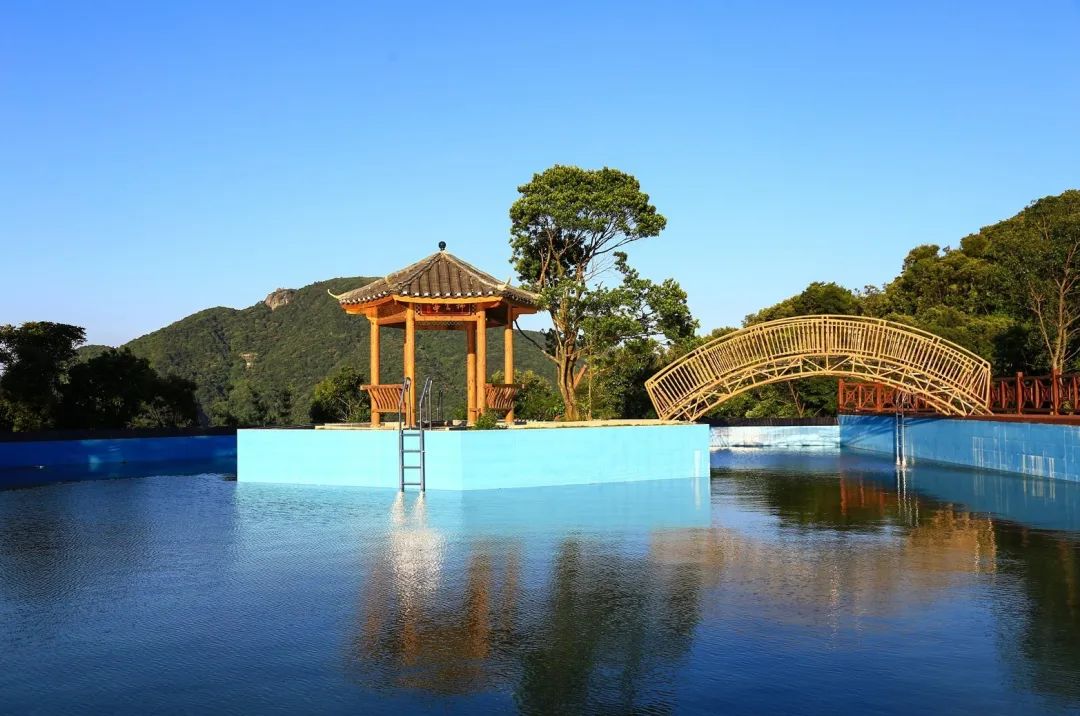 茶香禅韵入梦完整视频,世外桃源神仙度假地