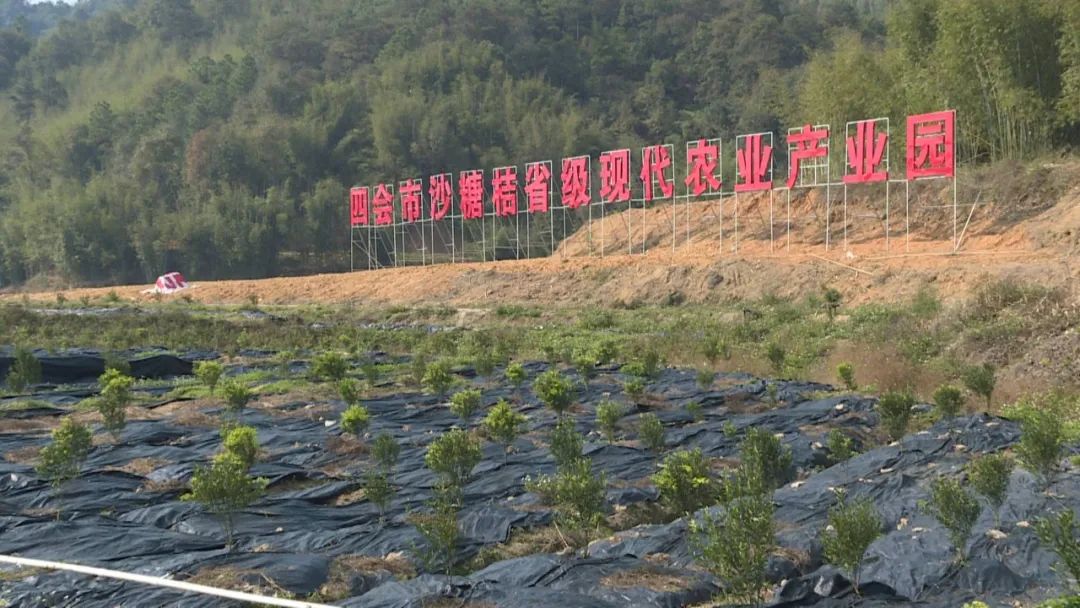 李伟忠四会旅游资源开发,李伟忠肇庆