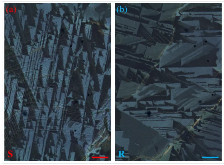 东南大学近期科研成果扫描