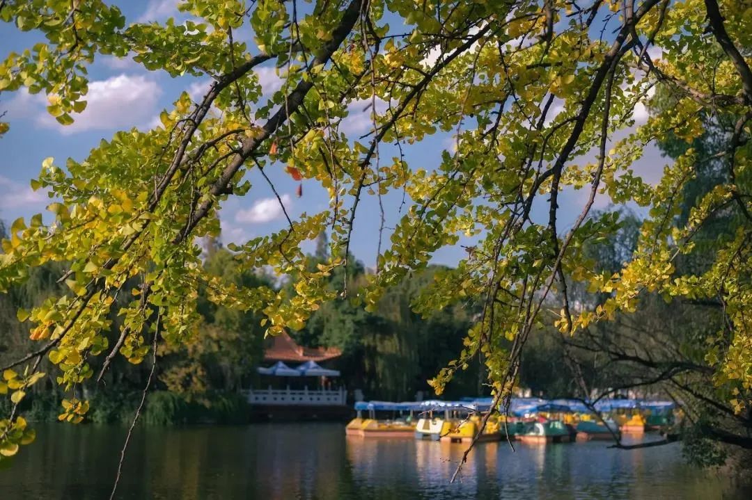 昆明春城秀游玩攻略,昆明不为人知景点