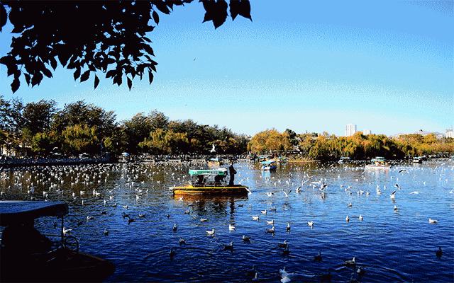 昆明春城秀游玩攻略,昆明不为人知景点