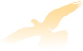 金杜律师事务所涉及50家ipo,金杜律师事务所和大成律师事务所