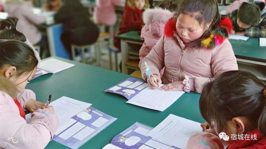 宿城有哪些学校,宿城区学校有哪些