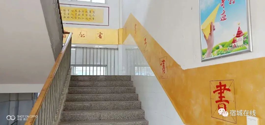 宿城有哪些学校,宿城区学校有哪些