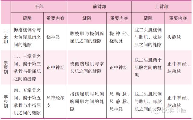 十四经络走向图高清,十四经络走向图