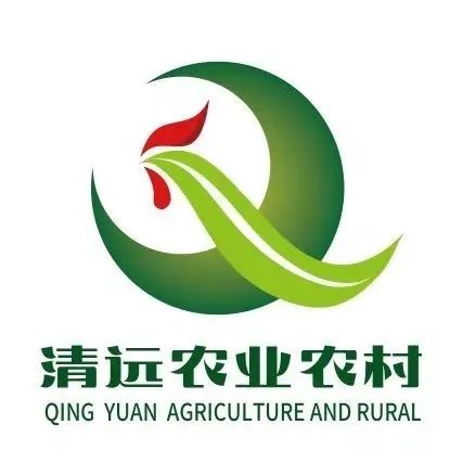 清远中考政策变动,广东清远清城区一模中考报名人数