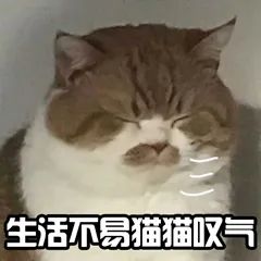 来大姨妈时一定不能做的事情！？到底有多少值得相信...