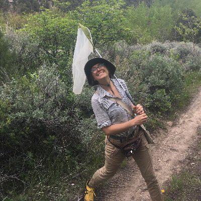 只有一只蜜蜂蜜蜂能活过去吗,一只蜂王和几只工蜂怎么发展