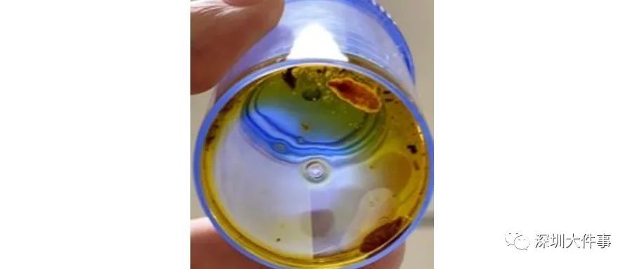 男子体内排出活虫只因爱吃一道菜,女子体内活虫蠕动只因爱吃这道菜