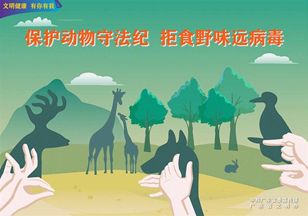 男女见面握手礼仪正确方法,握手礼仪的先后顺序是什么