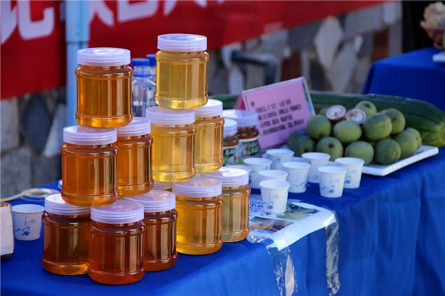 双岛卧龙村：古村蝶变，泉甜、果香，甜蜜产业味道长