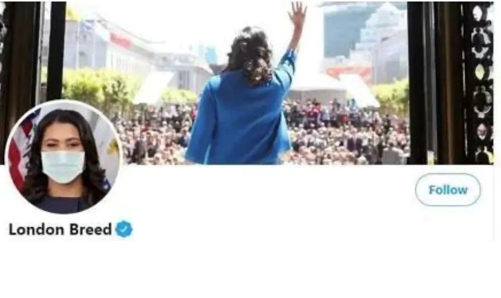 疫情下的美国日记丨陈丽华：加州四月槐花香