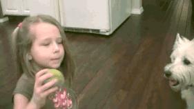 换牙出现双排牙不齐怎么办,孩子换牙齿长双排牙怎么办