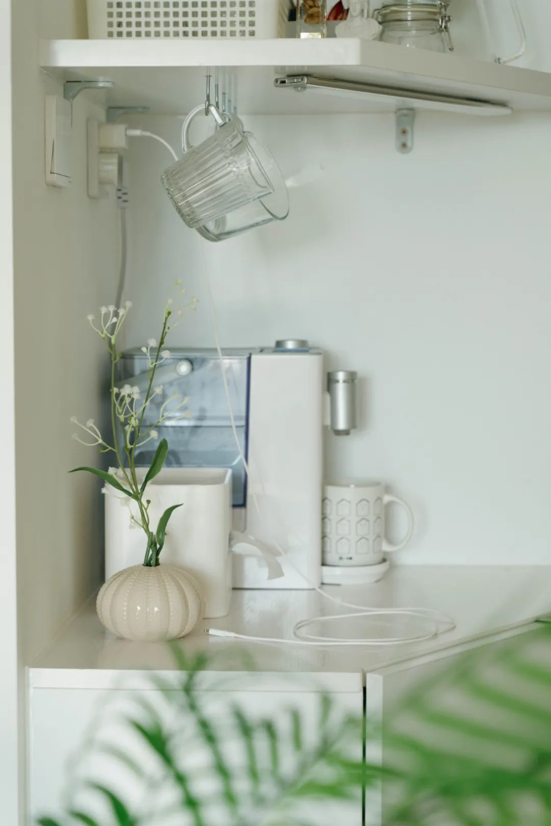 小家、乱家1秒变干净的方法被她找到了！都给老娘进柜