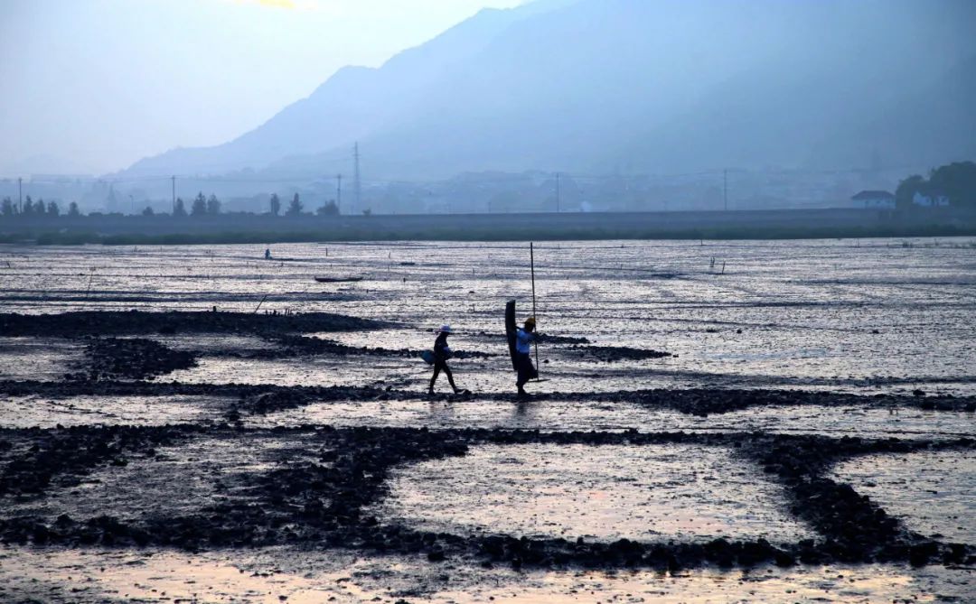 五一小众旅游推荐宁波,宁波美丽乡村旅游推荐