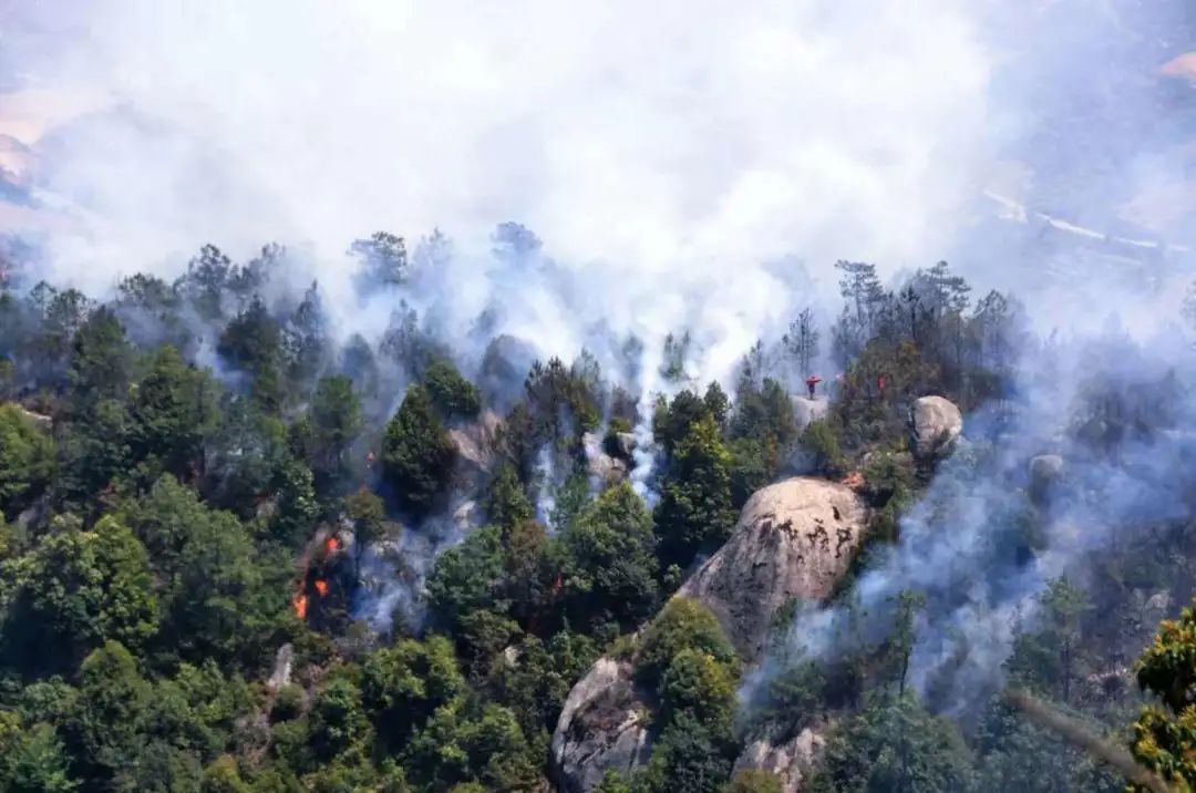 森林消防守护绿水青山,森林防火守护绿水青山绘画