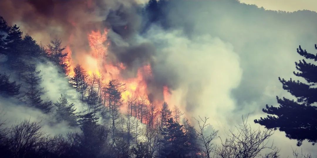 森林消防守护绿水青山,森林防火守护绿水青山绘画