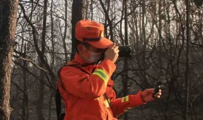 森林消防守护绿水青山,森林防火守护绿水青山绘画