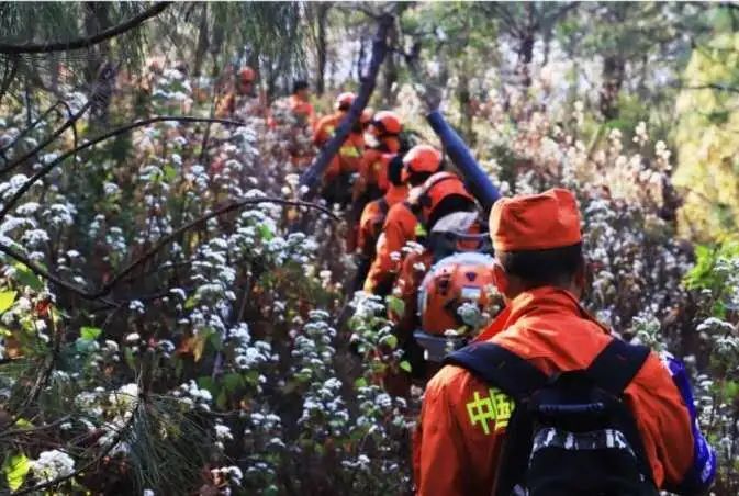 森林消防守护绿水青山,森林防火守护绿水青山绘画