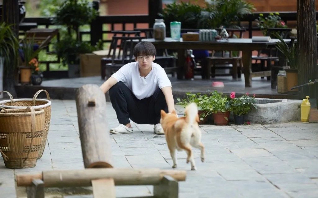 比起偶像恋爱，欺骗更令人伤心吧？