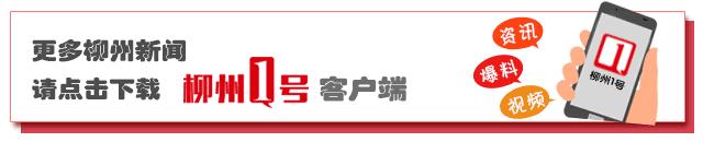 2.9万元买一辆小E？柳州有11人共被她骗了28万元！行骗过程曝光