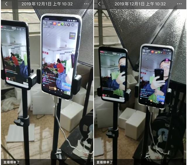 崇明大叔一夜卖甜芦粟8000斤,崇明大叔卖甜芦粟