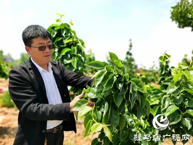 余长旺最近视频,余长旺谈下岗创业