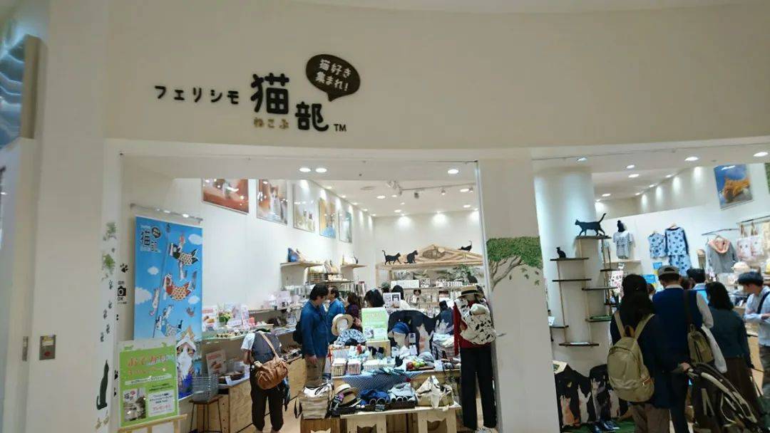 猫奴的春天！日本这家公司专门打造出「猫奴公寓」，每一处设计都超贴心