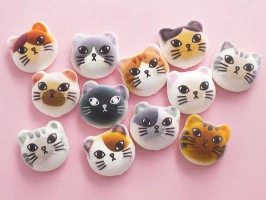 猫奴的春天！日本这家公司专门打造出「猫奴公寓」，每一处设计都超贴心