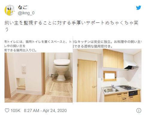 猫奴的春天！日本这家公司专门打造出「猫奴公寓」，每一处设计都超贴心