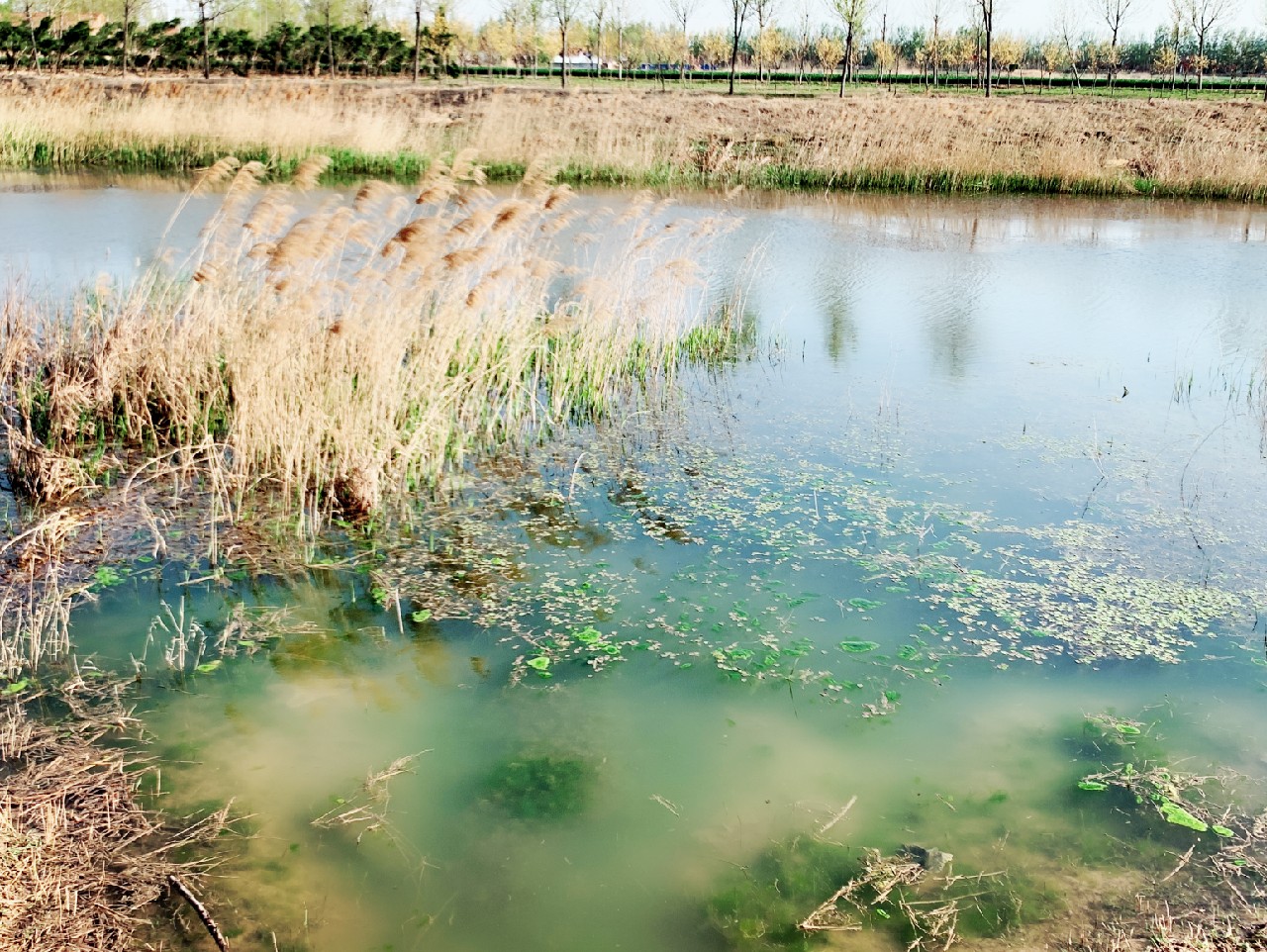 出钓带上媳妇：钓者心如水，伊人最浓情