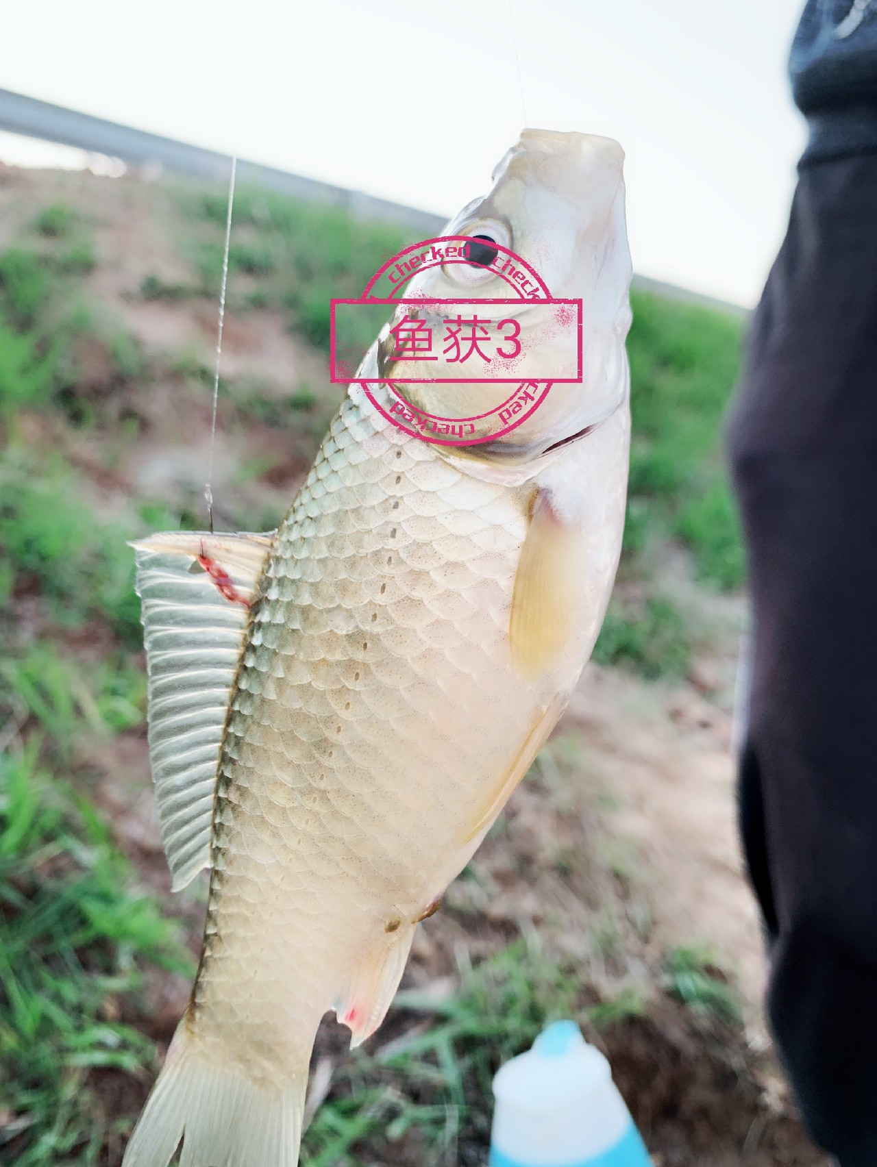 出钓带上媳妇：钓者心如水，伊人最浓情