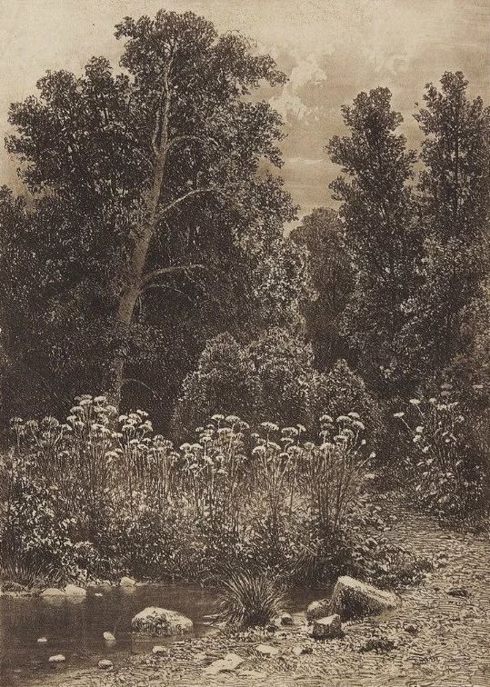 杰出人物素描画,超写实风景素描图片