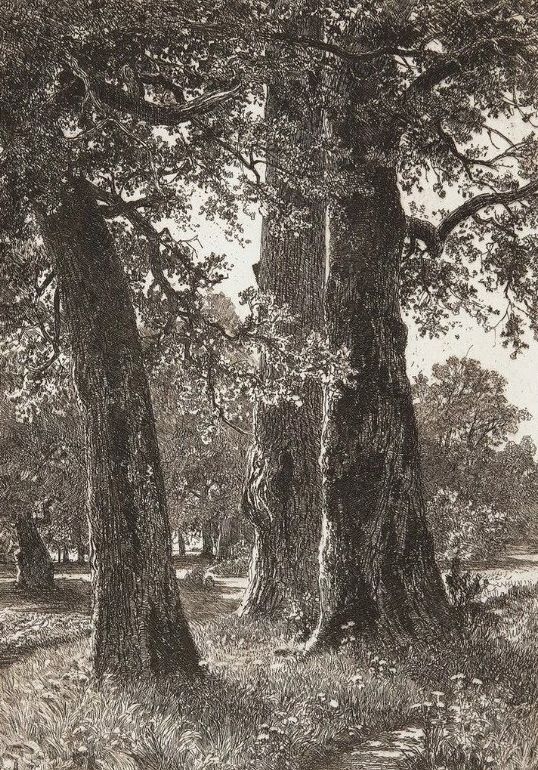 杰出人物素描画,超写实风景素描图片