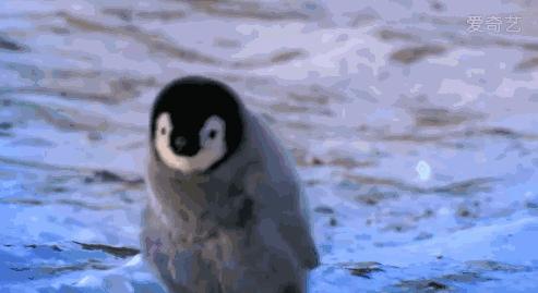 孕妇走在路上孩子突然掉出来了,孕妇在漫步孩子突然掉出来