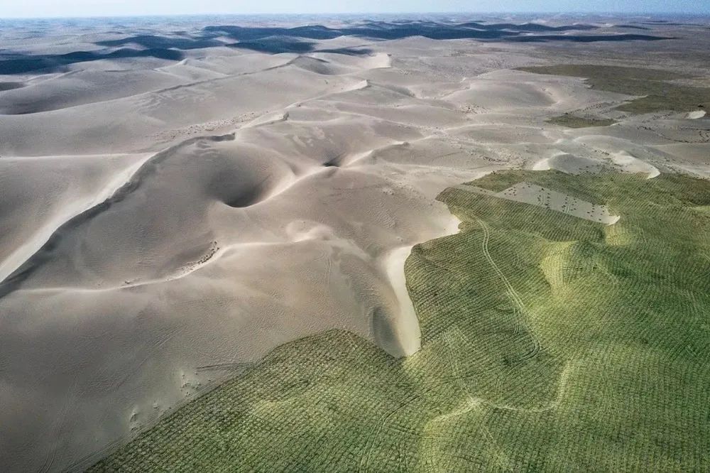 干掉千年沙漠,千年沙漠种树有多厉害