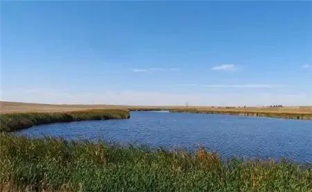 干掉千年沙漠,千年沙漠种树有多厉害